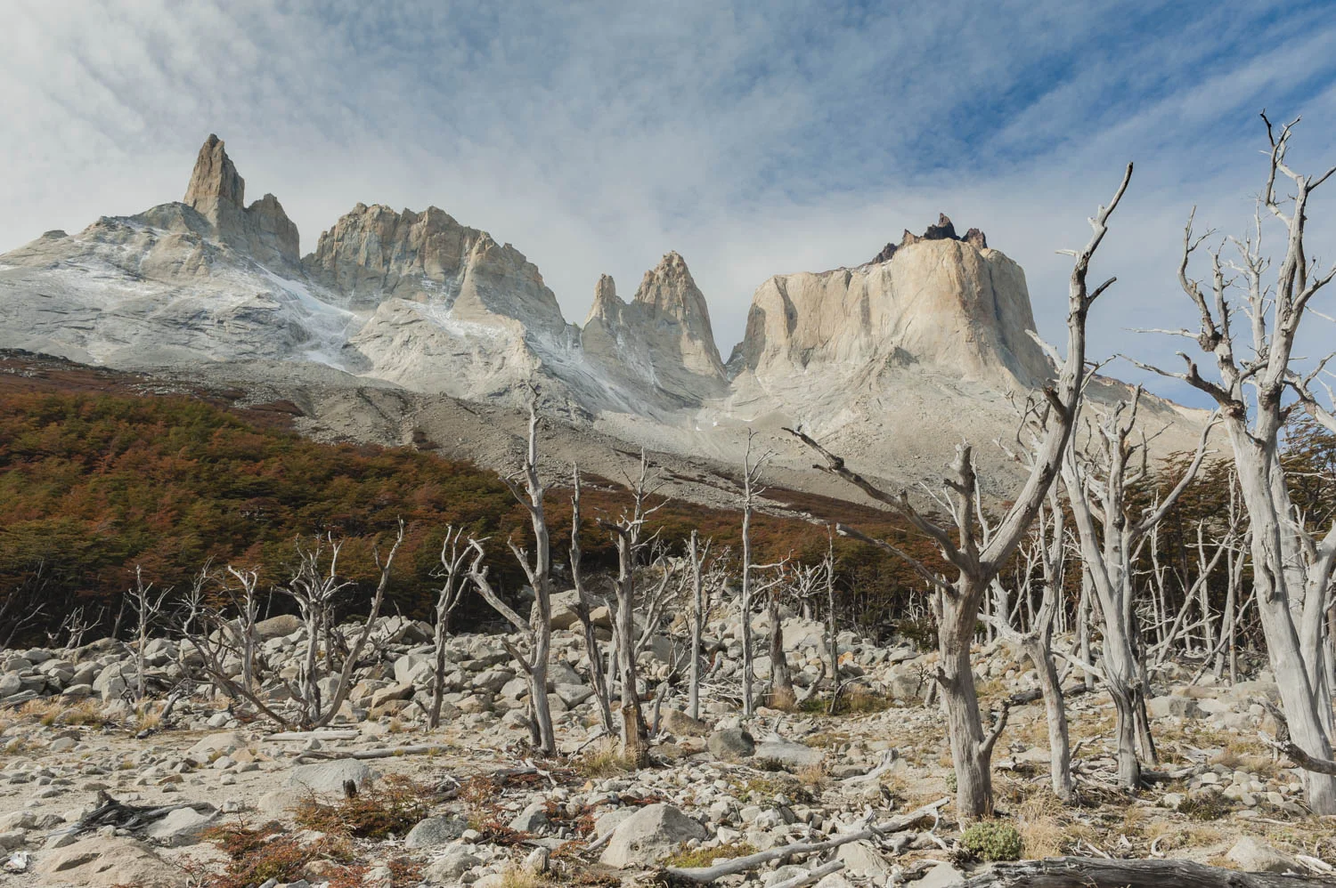 20140412_School_Web Design_Project 2_0078.jpg