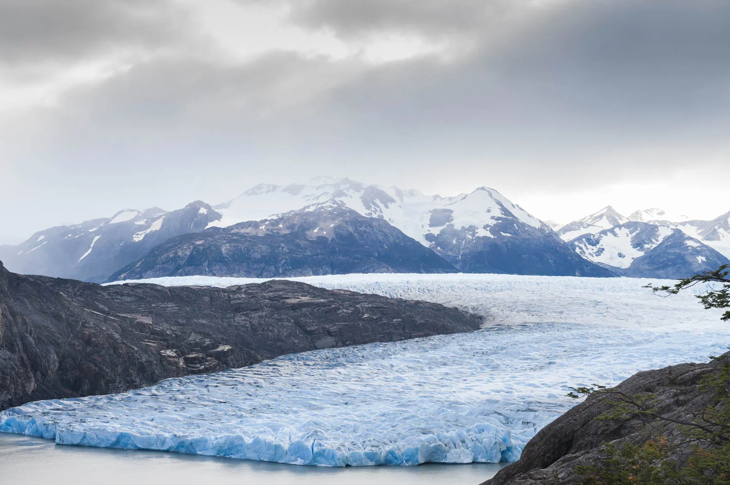 20140413_School_Web Design_Project 2_0079.jpg