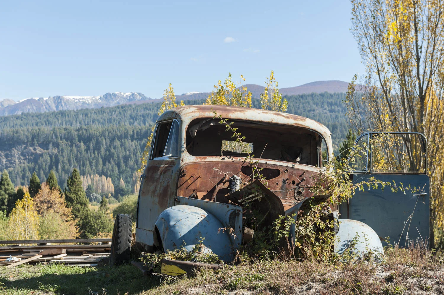 20140422_School_Web Design_Project 2_0094.jpg