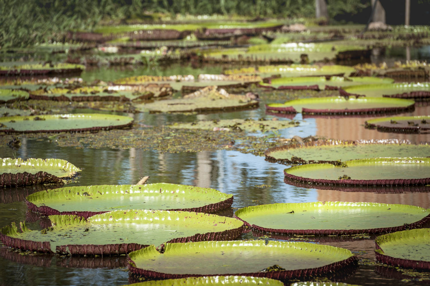 20140706_School_Web Design_Project 2_0224.jpg