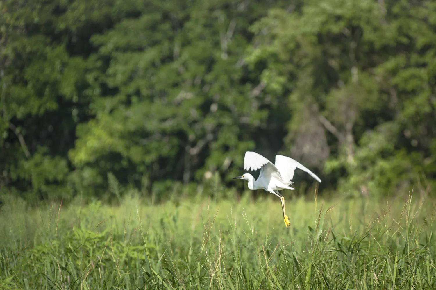 20140706_School_Web Design_Project 2_0225.jpg