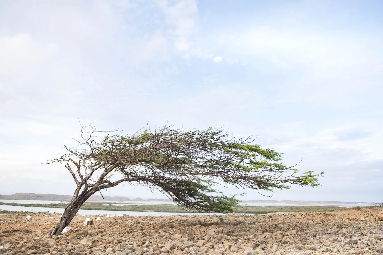 20140727_School_Web Design_Project 2_0263.jpg