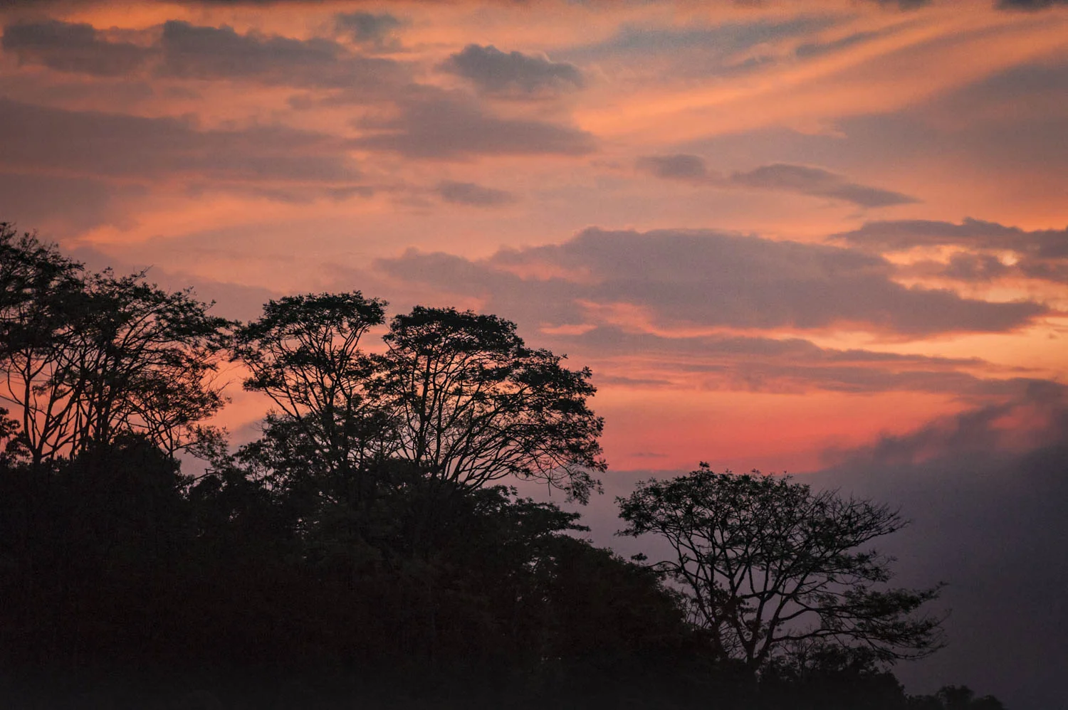 20140810_School_Web Design_Project 2_0284.jpg