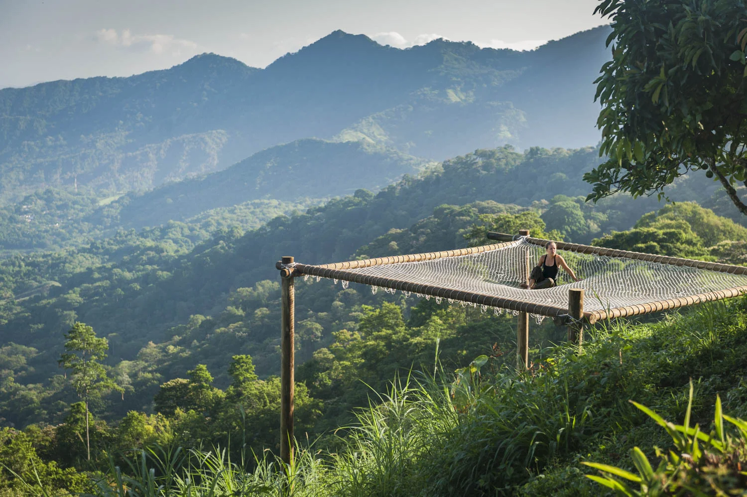 20140811_School_Web Design_Project 2_0285.jpg