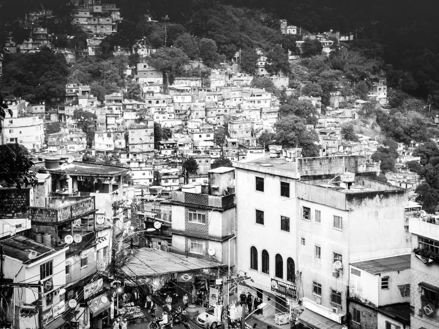 20140620_School_Web Design_Project 2_0196.jpg