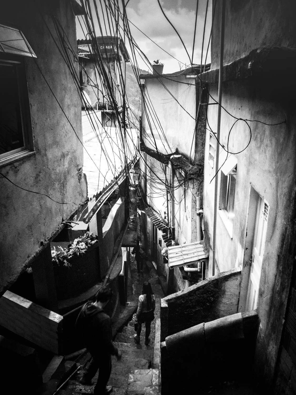 20140620_School_Web Design_Project 2_0197.jpg