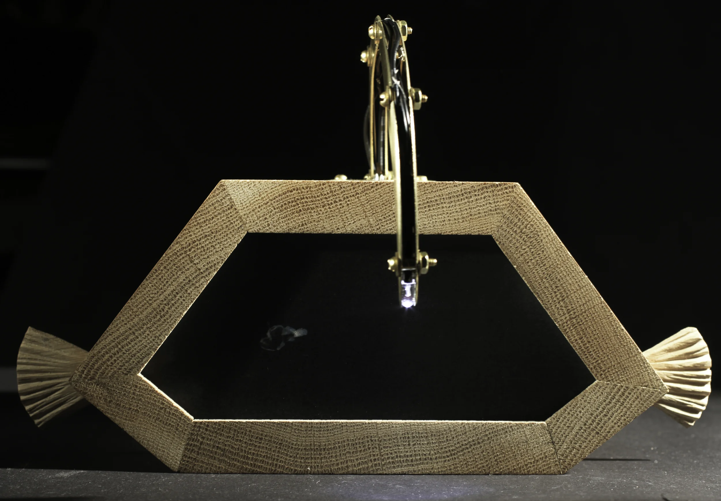   Bottomdweller &nbsp; 2013  Mechanical Angler Fish    