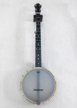Blue Banjo, 2017