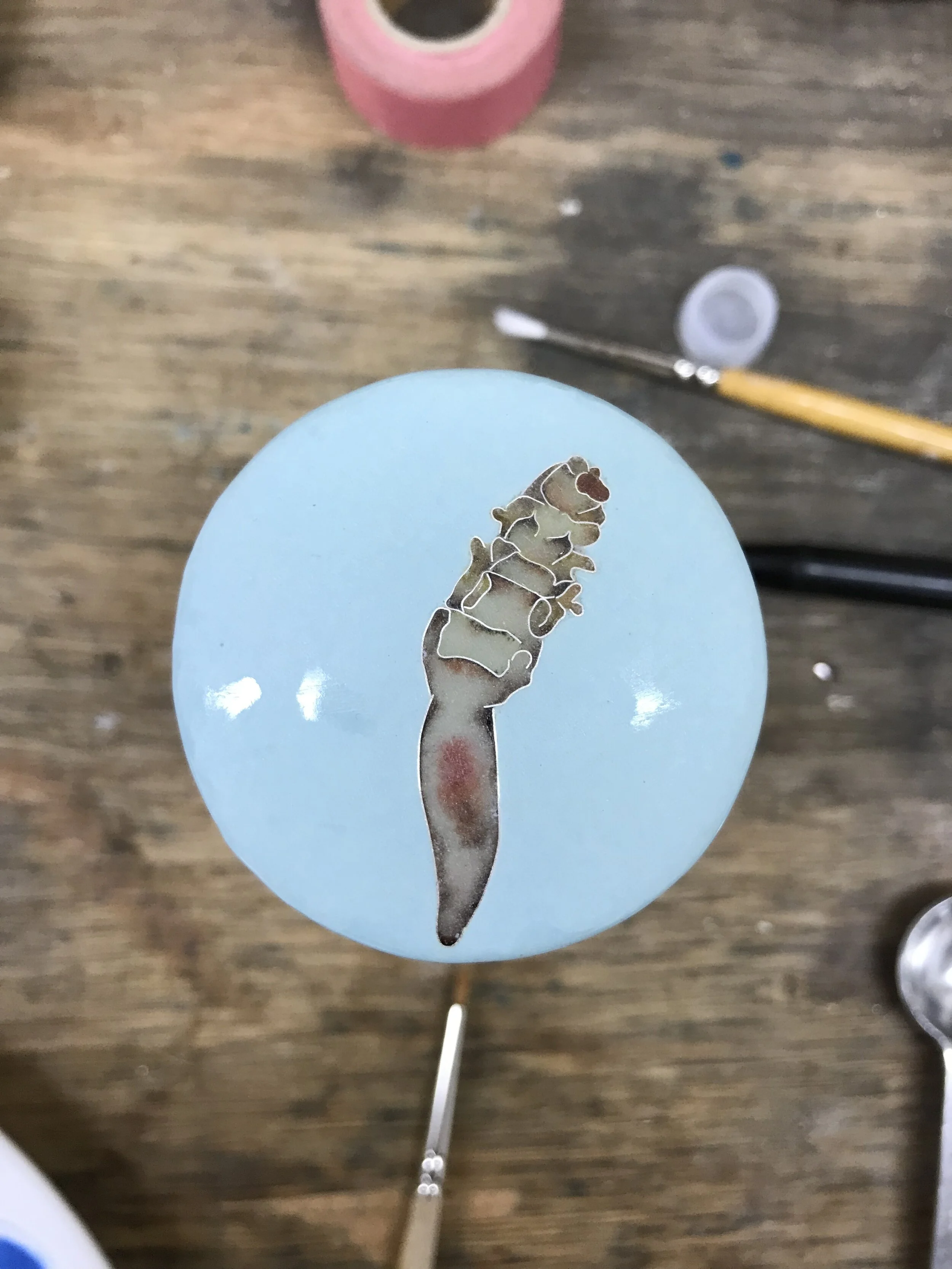  D. Brevis- Final firing.  Ready for finish work. 