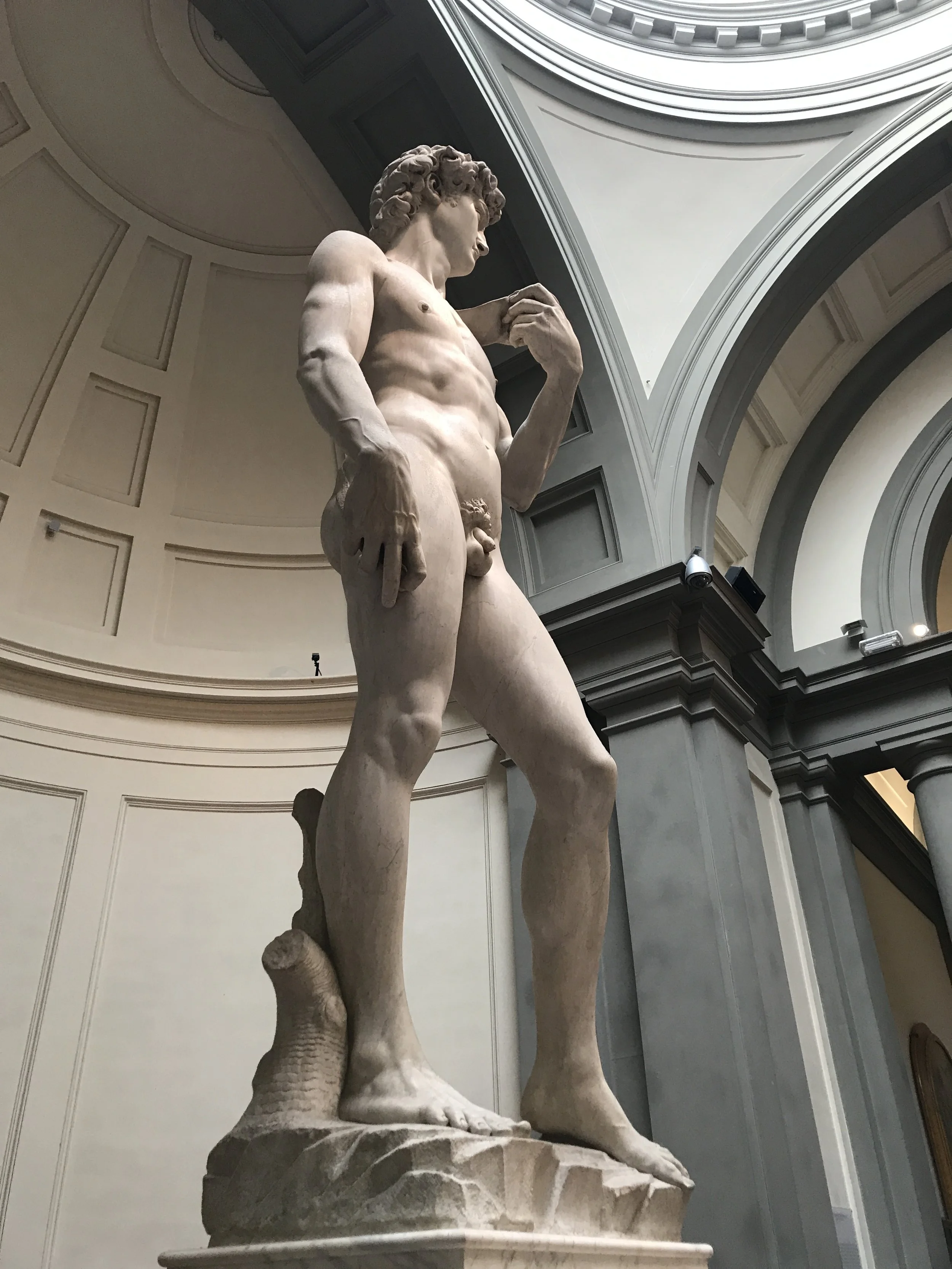  The David is made all the more impressive by the fact that the marble is faulty, and should have been almost impossible to work with without breaking. 