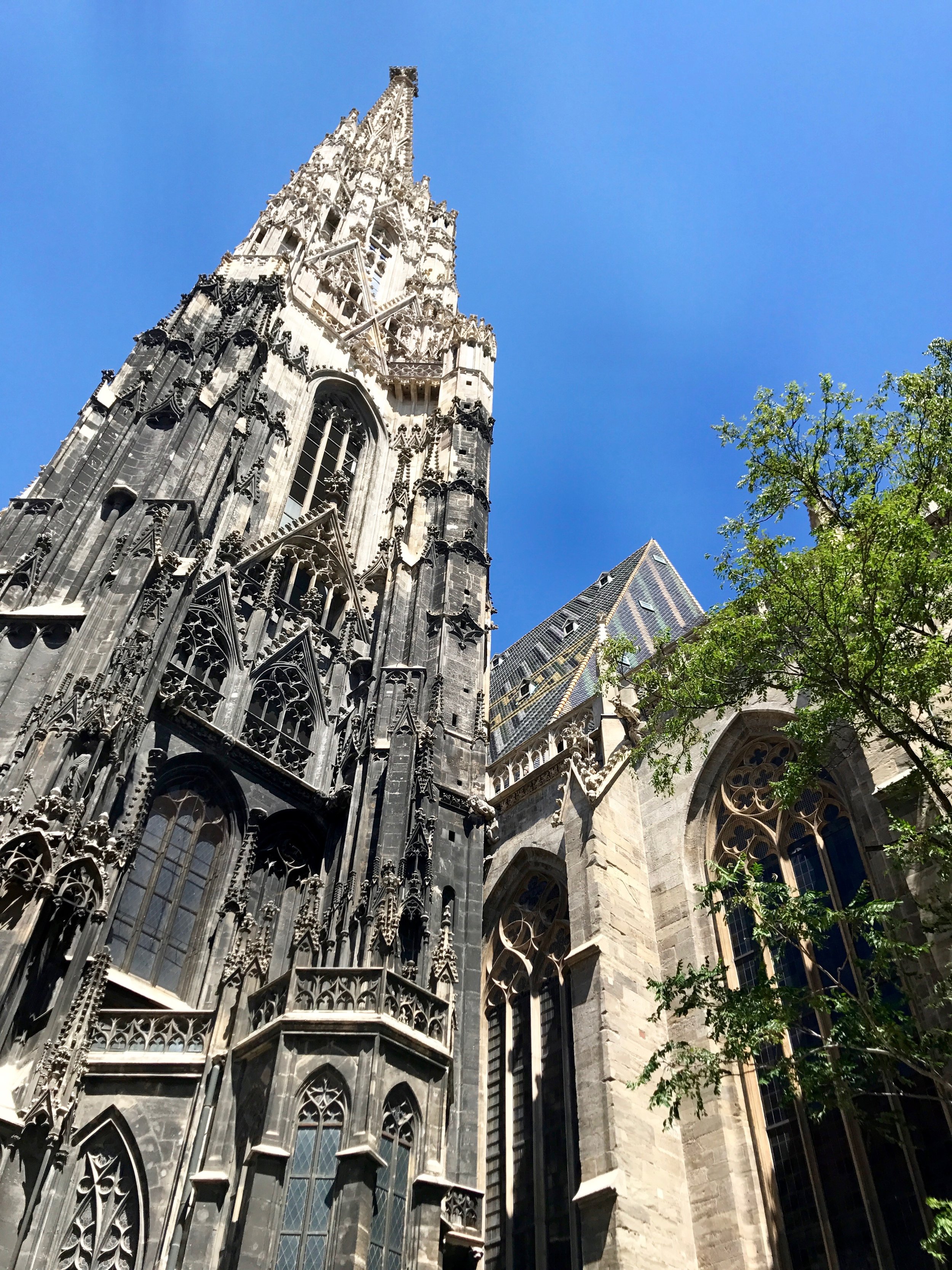  You can tell which parts of the cathedral have been power-washed to remove the grime and pollution. As you can see, they haven't quite finished. 