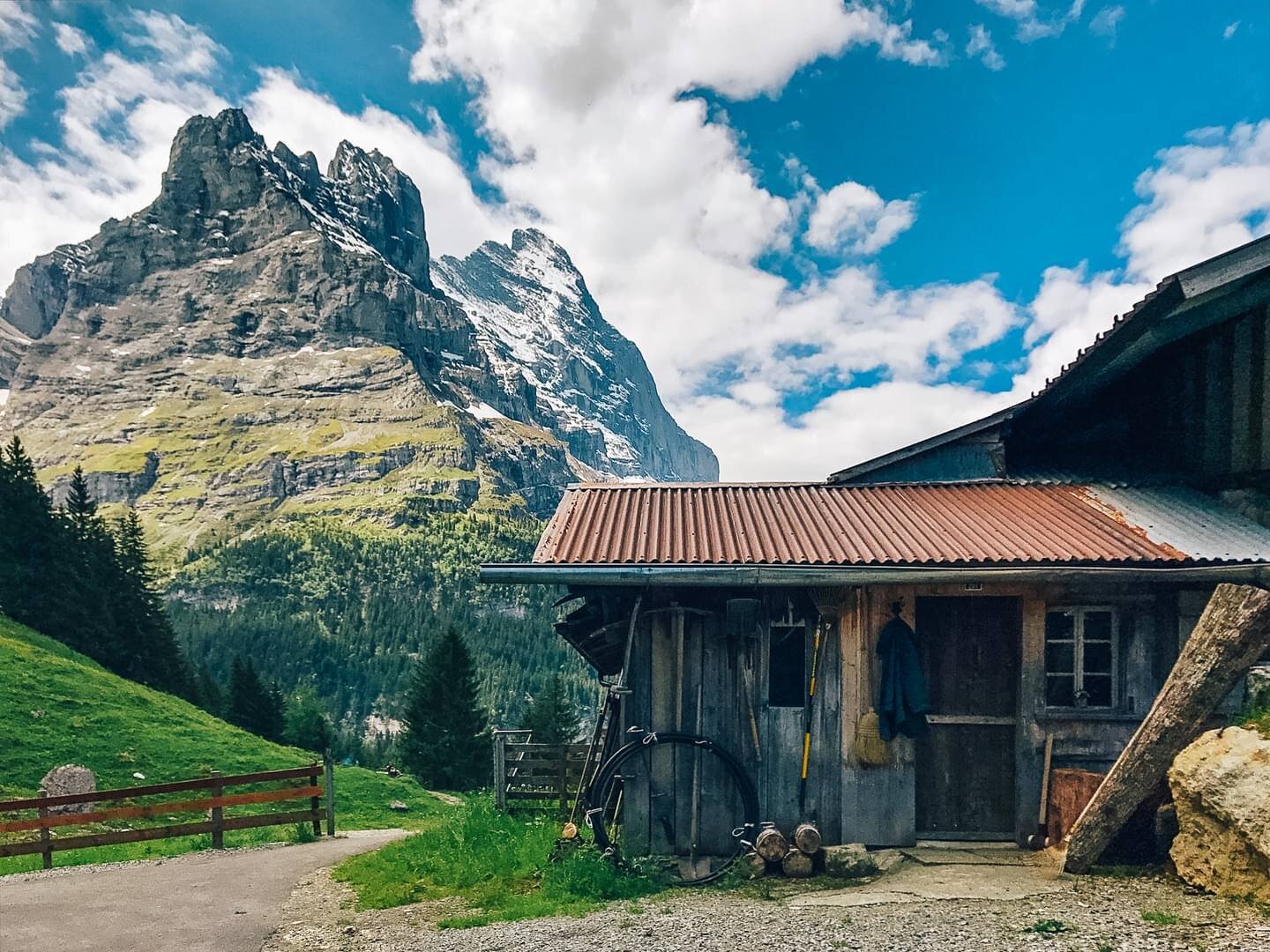 Dreaming of Grindelwald, fresh air, and steel tobogganing down the mountainside. 🏔