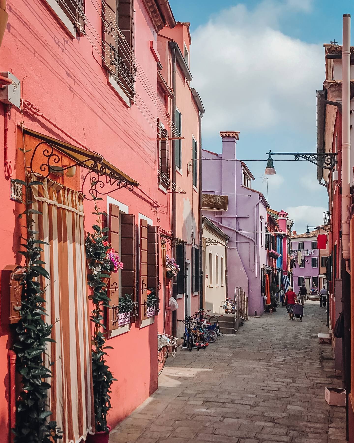 🎨 and ivy. 📍 Burano, Italy.