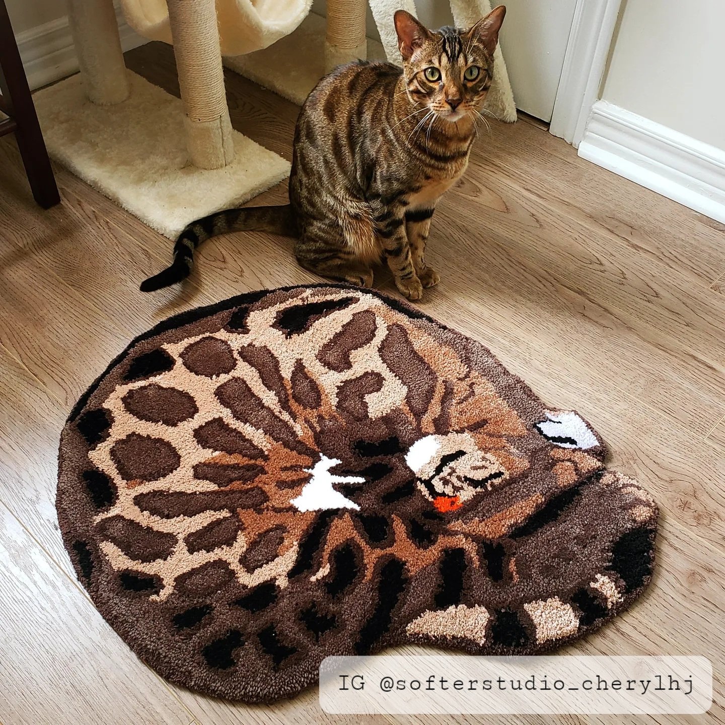 custom pet rug