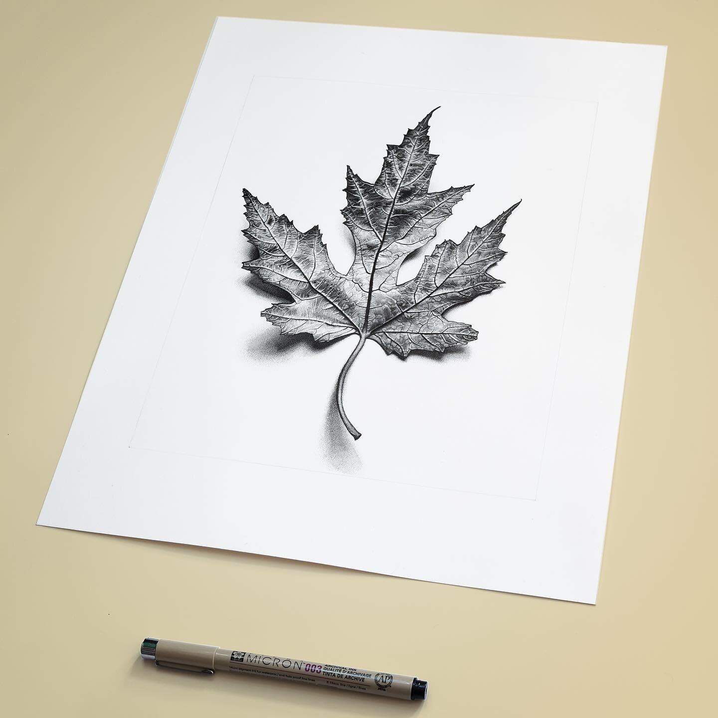 Patience and precision pays off 🖋️🍃 Excited to share my latest artwork - a photo-realistic leaf drawing made entirely of one million dots using fineliner pens and stippling. It took a lot of focus and dedication, but I'm proud of the end result. Ho