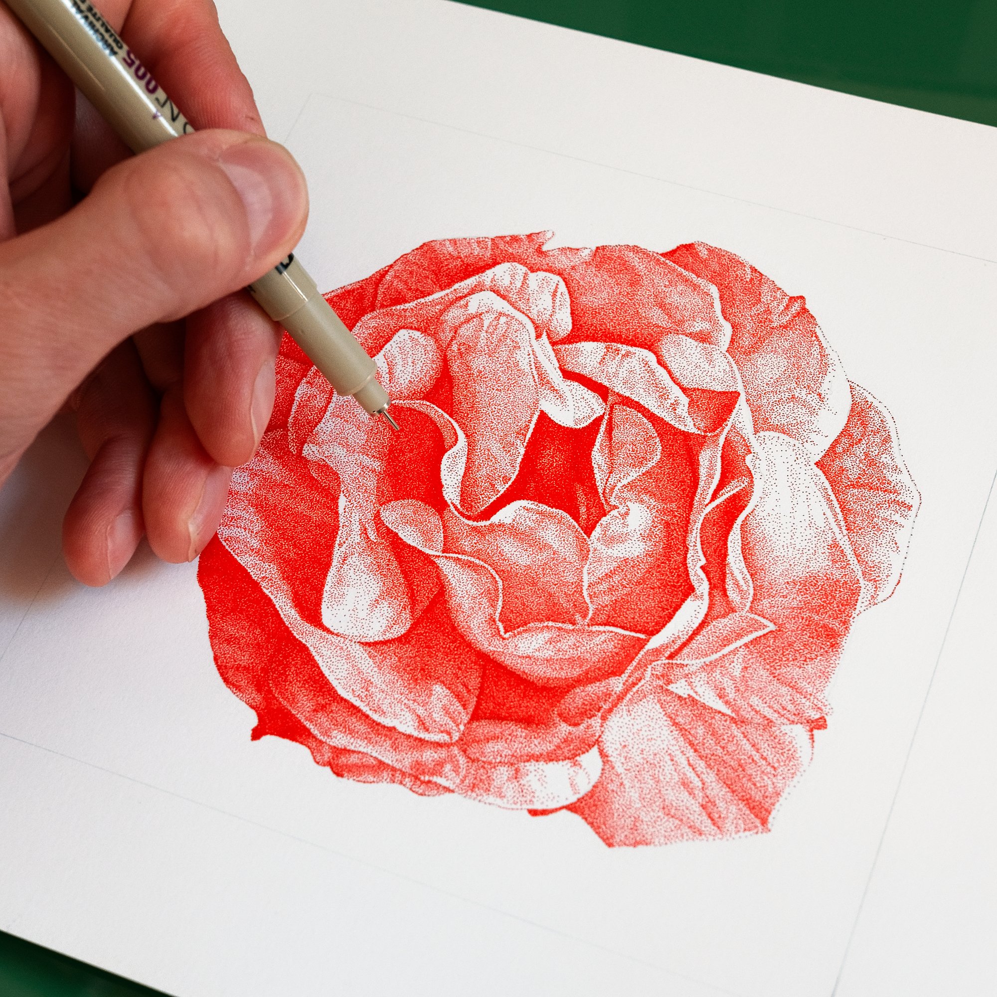 red rose louis savage pen wider.jpg