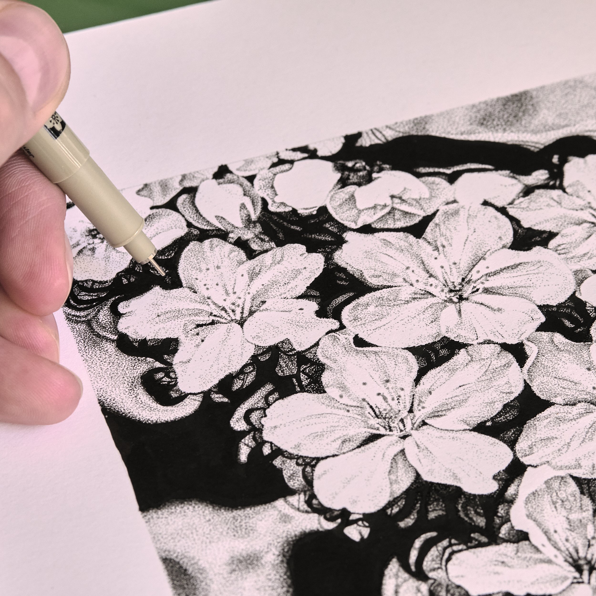 blossoms hand detail desat.jpg