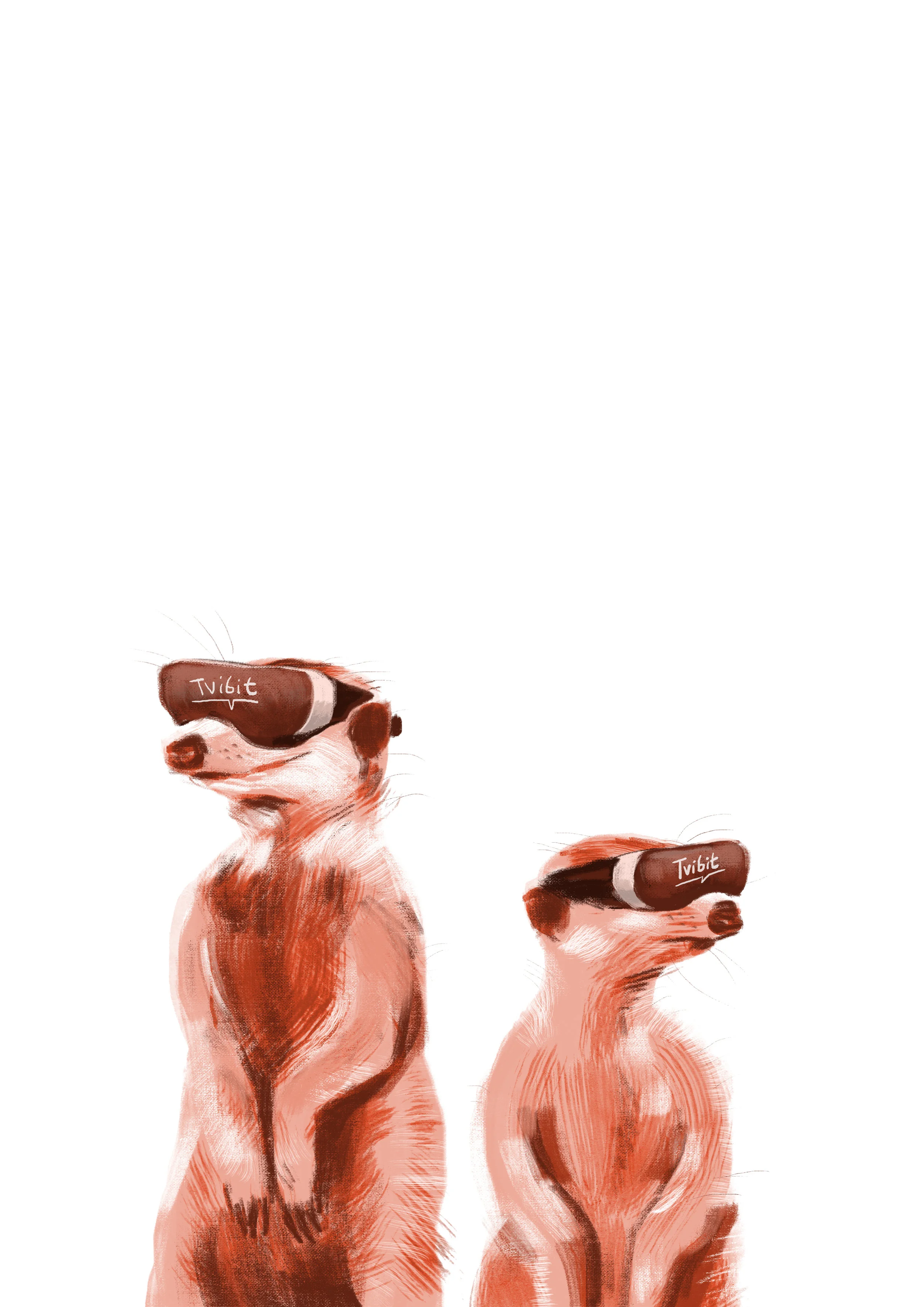 Tvibit Årsmelding 2016