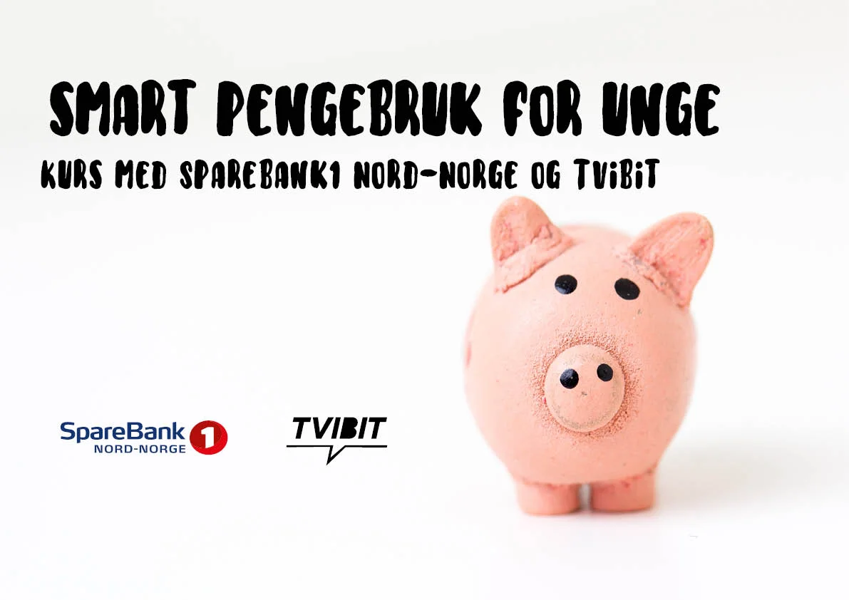 Kurs i smart pengebruk!