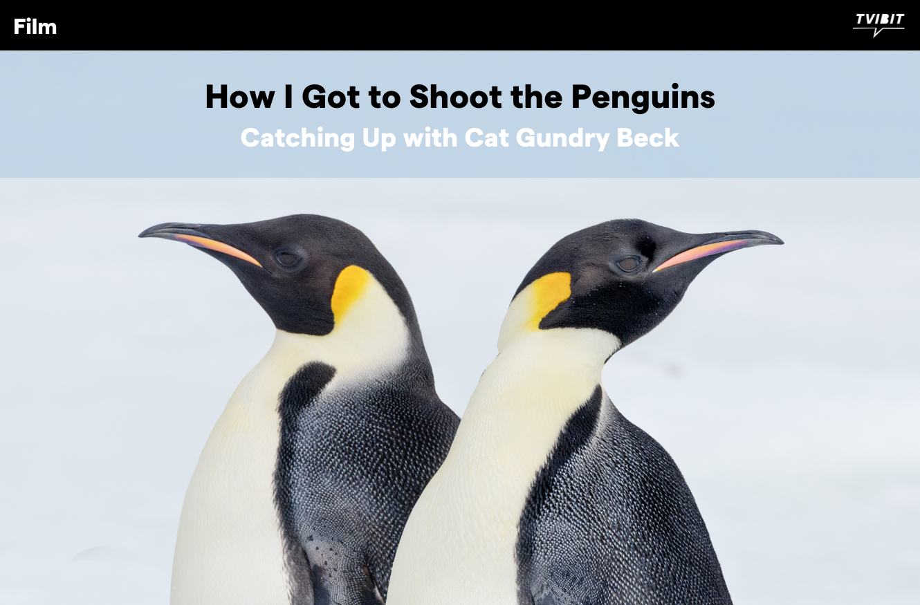How I Got to Shoot the Penguins