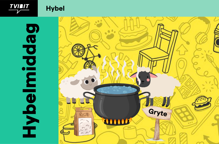 Hybelmiddag - Lammegryte med ris