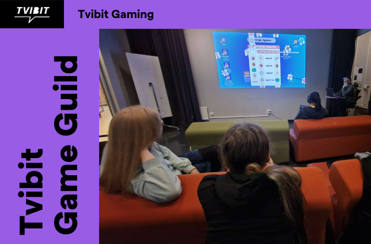 Tvibit Game Guild