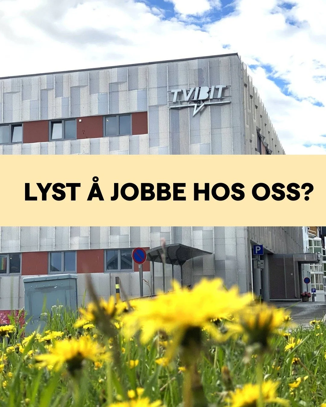Kom &aring; jobb hos oss! 

Trives du med &aring; jobbe i et mangfoldig milj&oslash; med h&oslash;yt aktivitetsniv&aring; og stor meningsfullhet?

Vi s&oslash;ker deg som vil utvikle og lede Tvibits informasjonsarbeid samt &aring; rekruttere brukere 