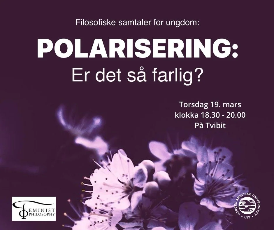 Mange klager p&aring; at samfunnet har blitt mer polarisert: det virker som om vi blir mer og mer uenige og f&oslash;ler st&oslash;rre og st&oslash;rre mistro og forakt mot dem som er uenige med oss. Men hva er polarisering egentlig, hvordan fungerer