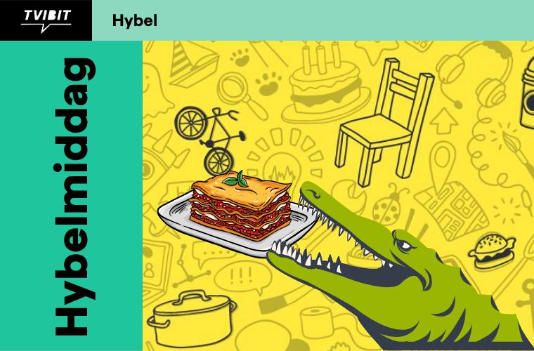 Hybelmiddag - Lasagne