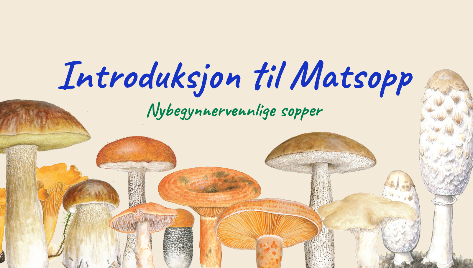 Ung Sanker: Introduksjon til matsopp