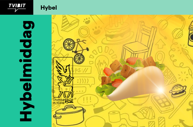 Hybelmiddag - Kebab med oksekjøtt
