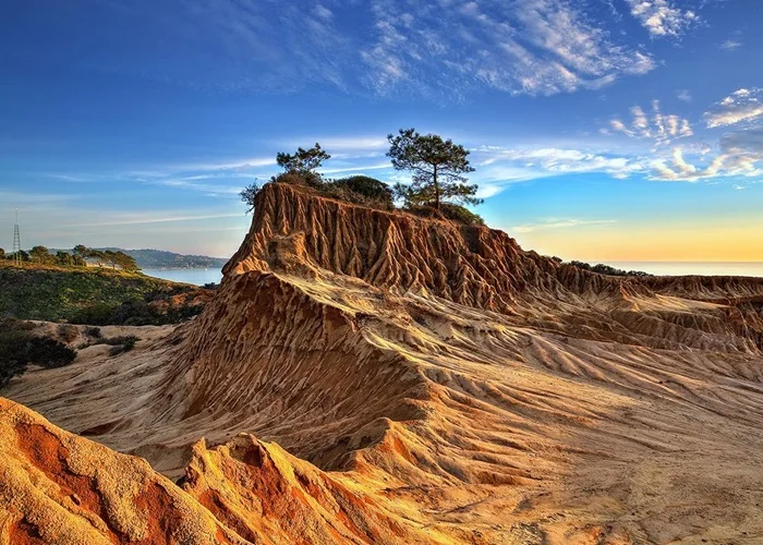 torrey_pines.jpg