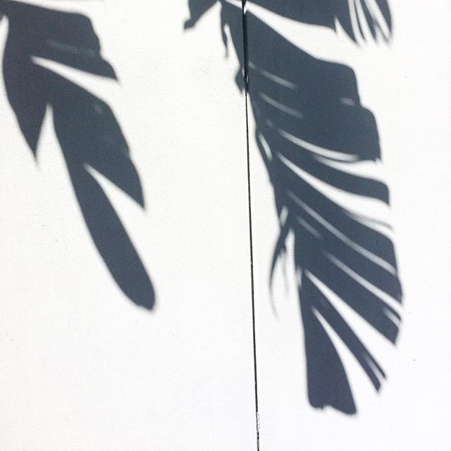 🌴