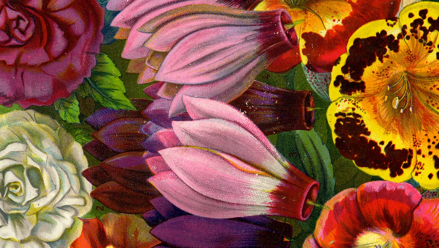 flowers.jpg