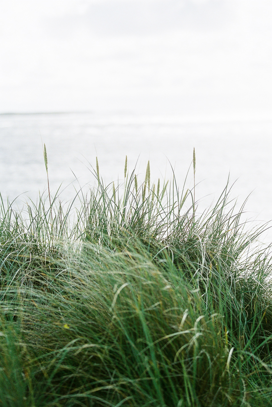 Chen-Sands-Film-Photography-Portraits-Engagement-Elopment-Ireland-3.jpg