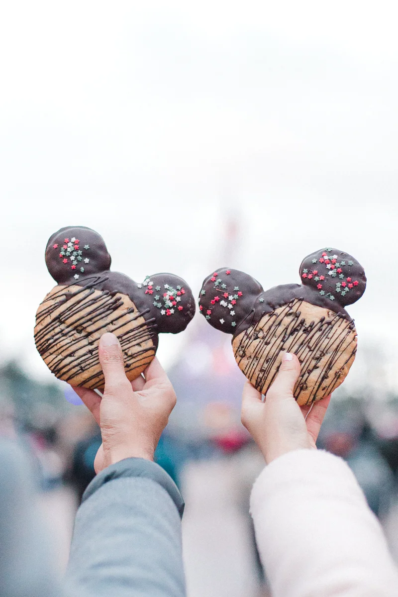 Chen Sands Paris Photographer Disneyland in Winter Engagement 23.jpg
