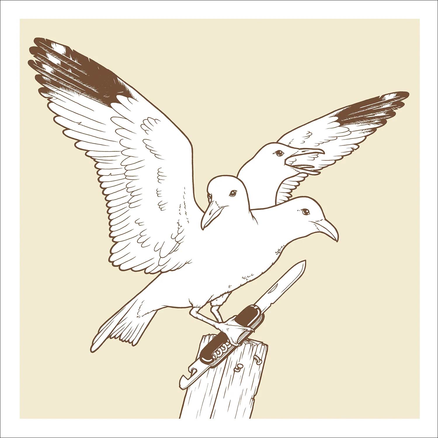 SIP 02: PREDATORY BIRD // ANDY MURPHY