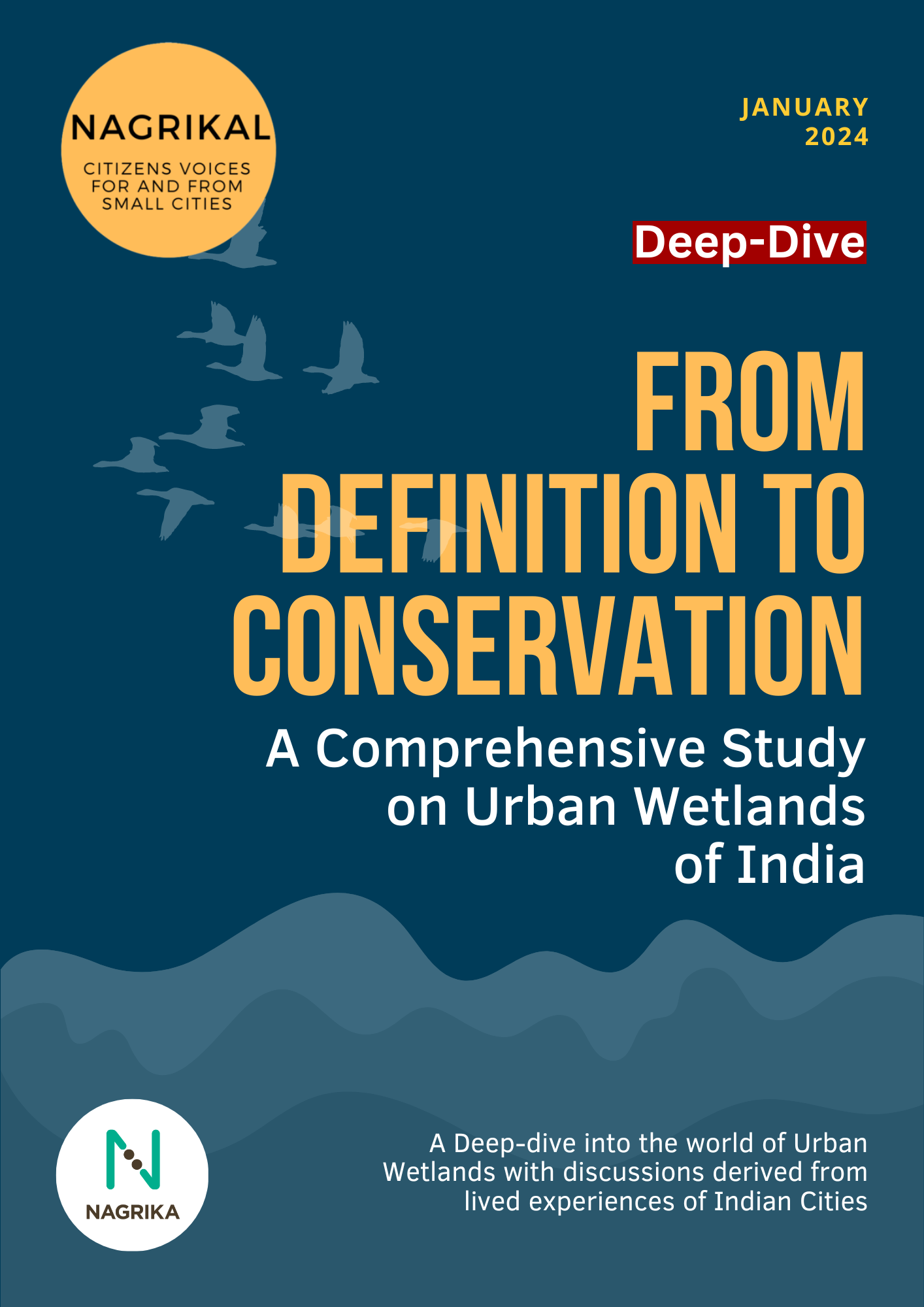 From Definition to Conservation: A Study on Urban Wetlands
