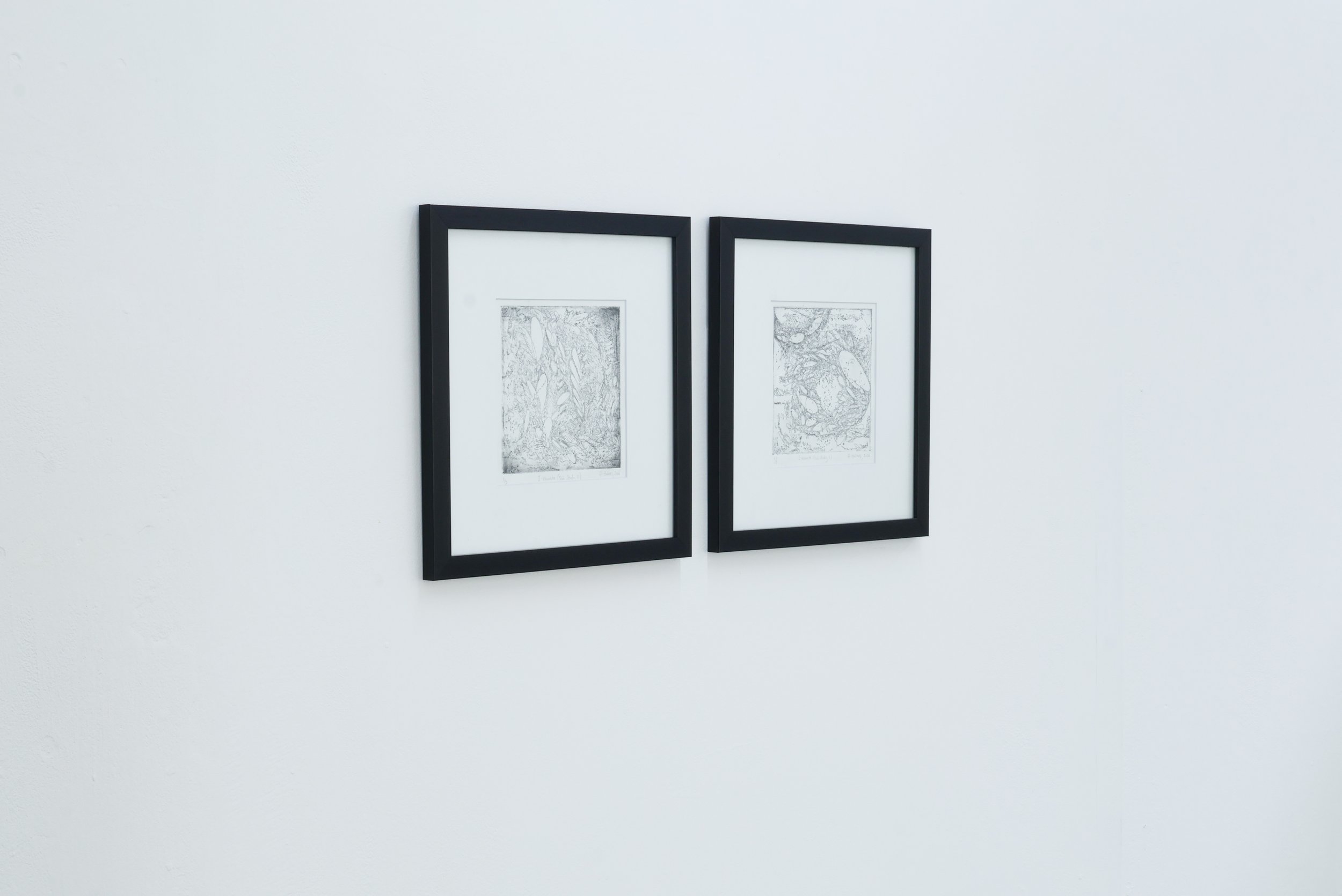 Ashley Holmes 'Dub Study' series, framed 2026-16.jpg