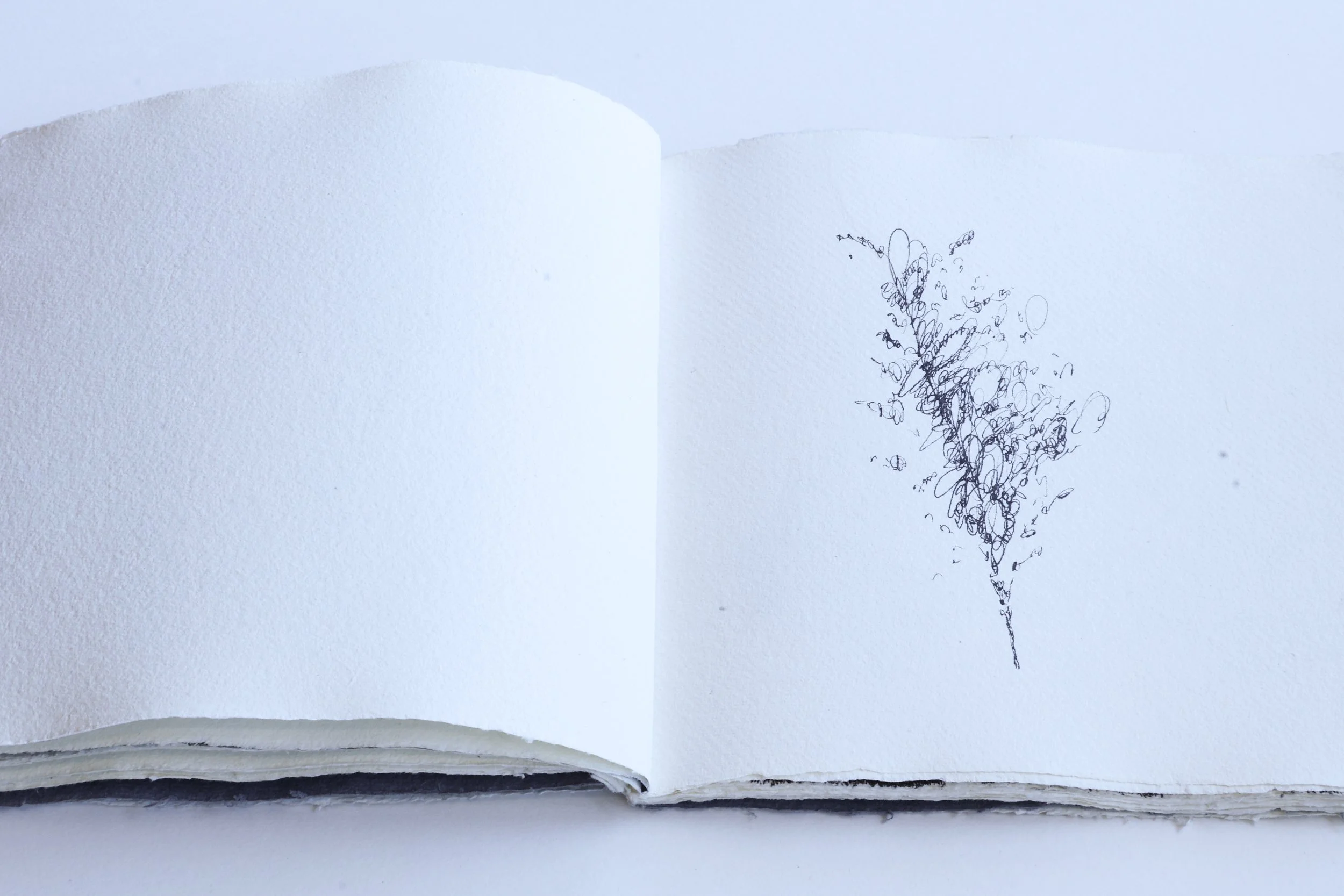 Ashley Holmes 'Dub Study' series, works on paper (2026)-29.jpg
