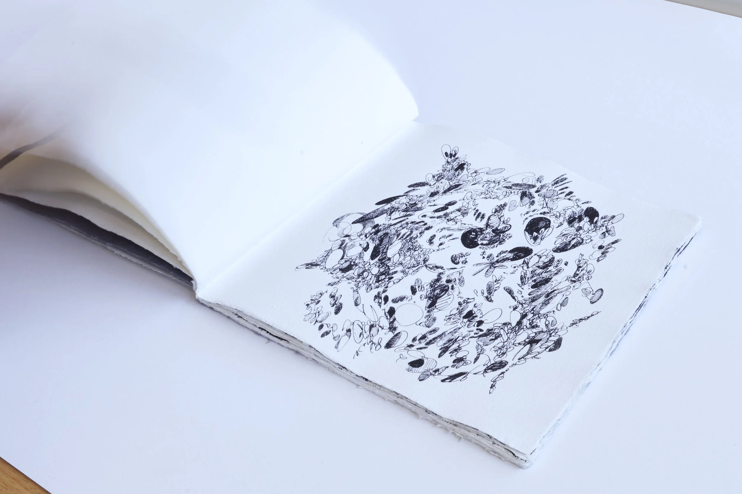 Ashley Holmes 'Dub Study' series, works on paper (2026)-34.jpg