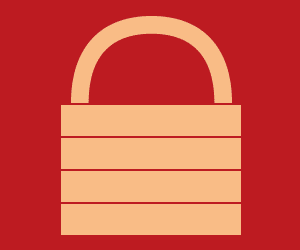 300x250-Custom-Research-from-FT-Confidential.gif