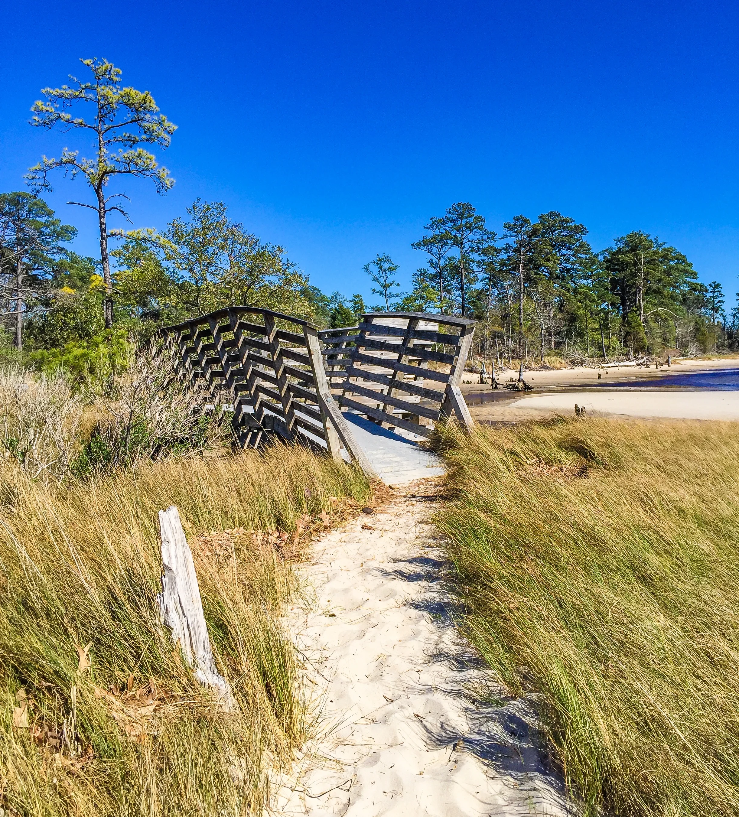 Adventure Awaits at First Landing State Park