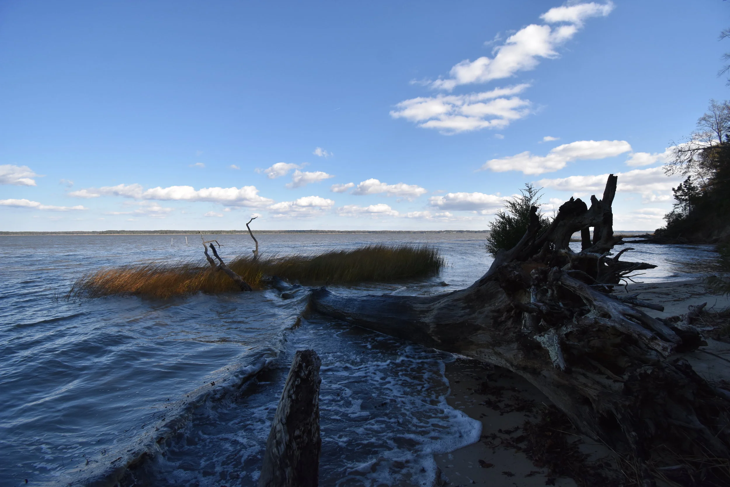 3 Reasons to Explore York River State Park