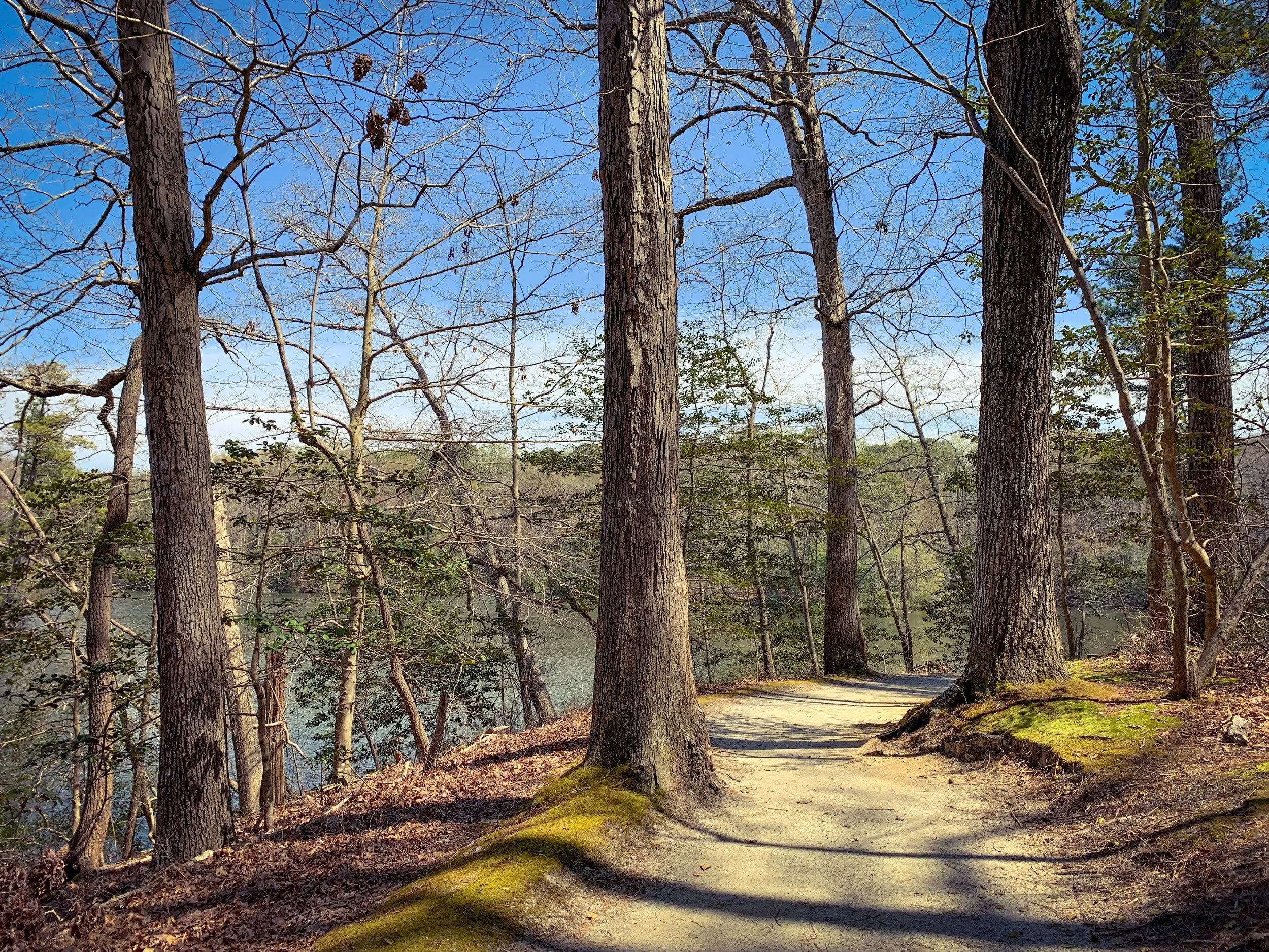 Enjoy an Urban Escape to the Noland Trail