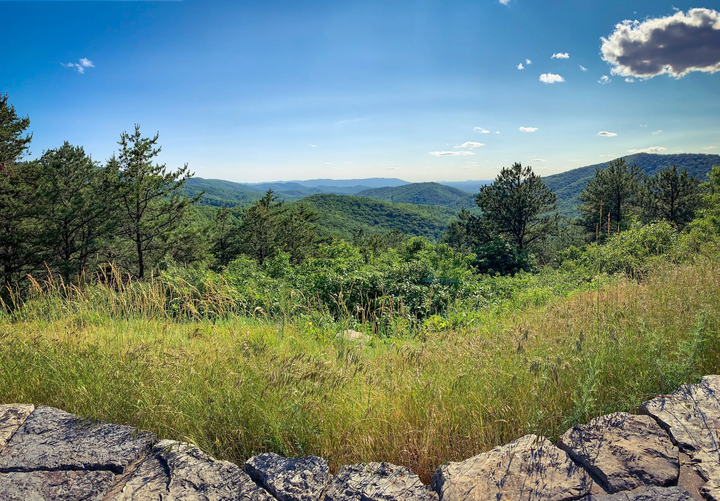 How to Spend 4 Hours in Shenandoah National Park