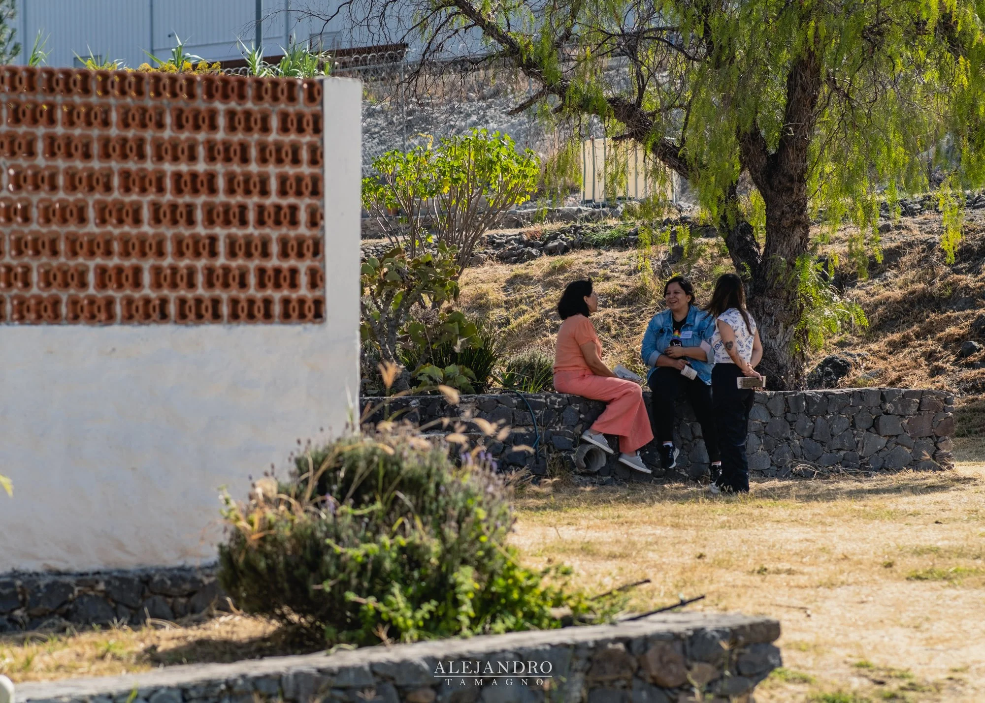 XXIII Encuentro Nacional de Juegos Cooperativos para la Paz-70.jpg