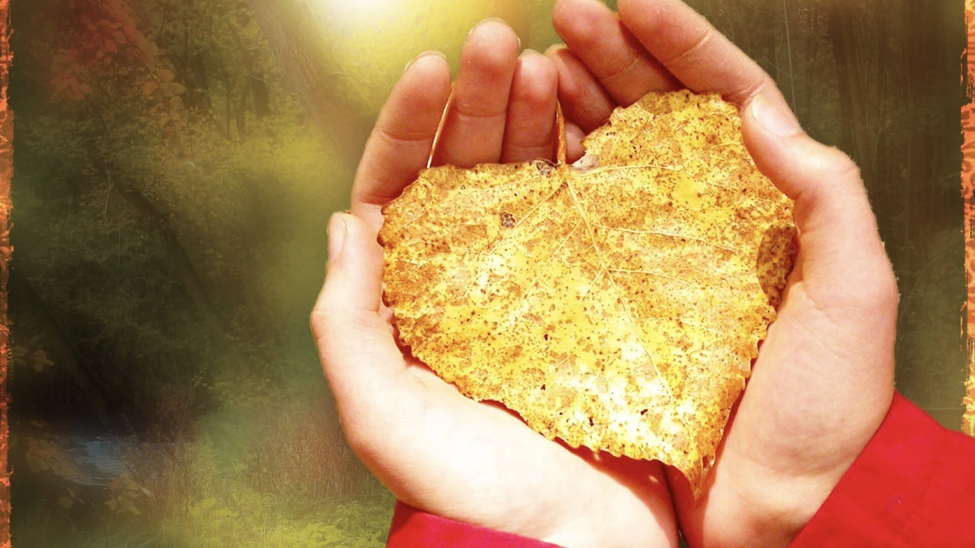 Children's Lessons Background Image (image).001.jpeg