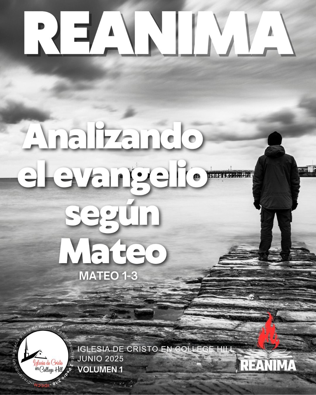Revista Reanima Digital Volumen 1 JUNIO 2025.jpg
