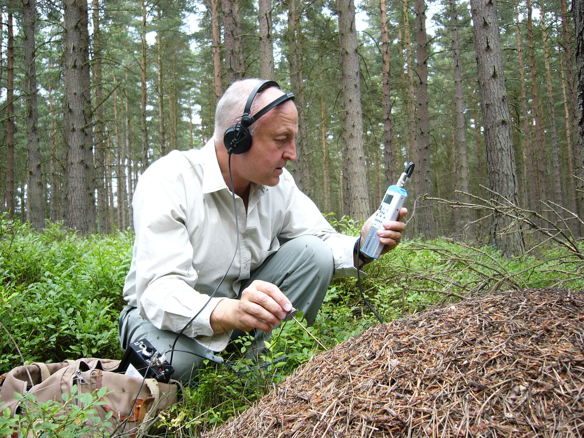 recordingants.jpg